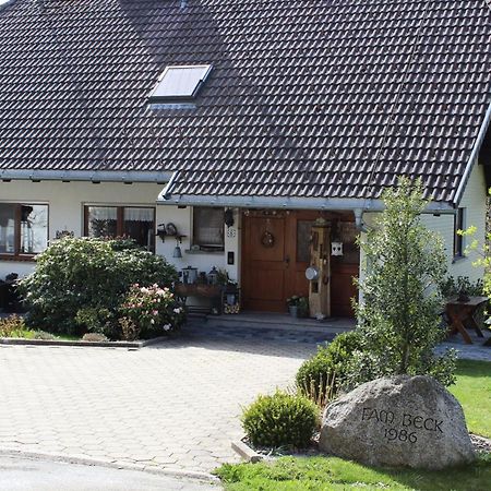 Ferienwohnung Haus Am Roetenberg Grafenhausen Ngoại thất bức ảnh